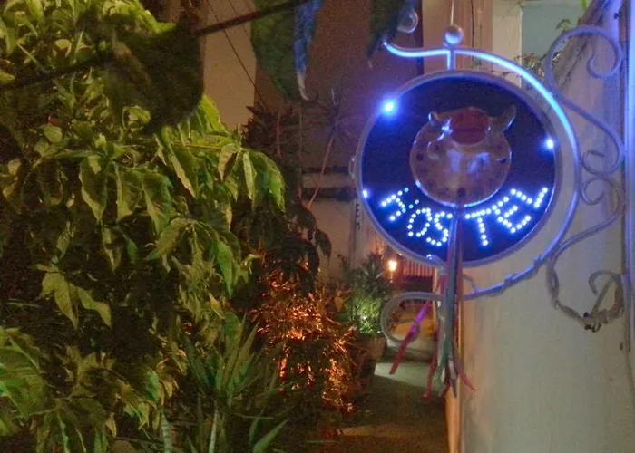Girassol Hostel Vila Madalena São Paulo